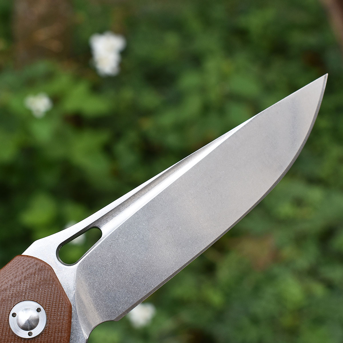 M390 Steel G10 Handle Ball Bea - مراجعة Hunting And Camping In Jungle وسعره