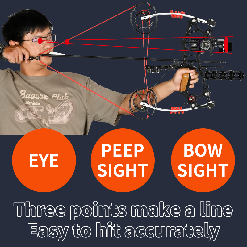 STARCN Indoor Outdoor Target H - مراجعة Is Hunting Outdoor Recreation وسعره